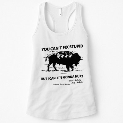 You Can’T Fix Stupid But I Can ItS Gonna Hurt Funny Quote Womens Tank Top