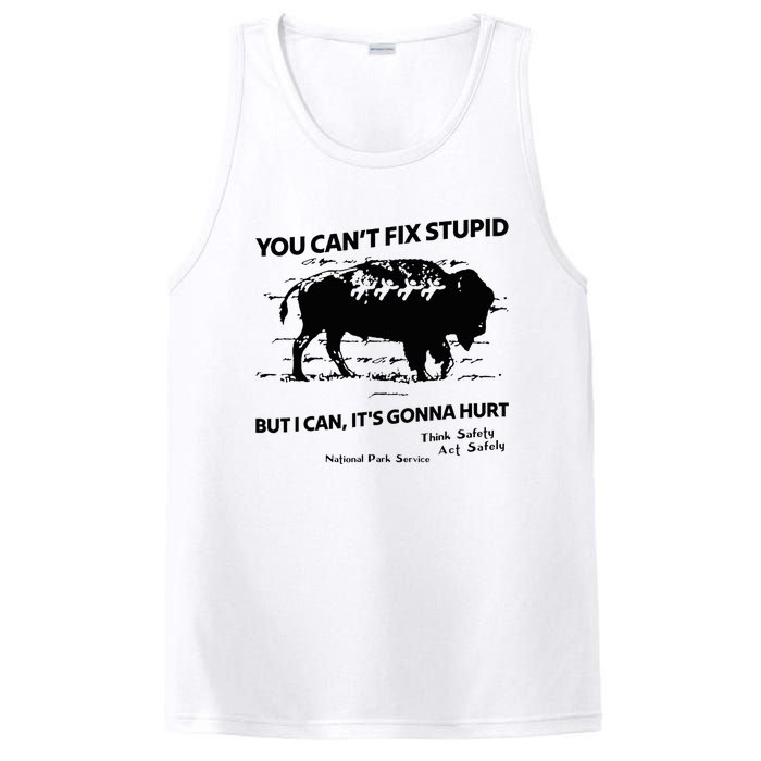 You Can’T Fix Stupid But I Can ItS Gonna Hurt Funny Quote PosiCharge Competitor Tank