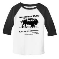 You Can’T Fix Stupid But I Can ItS Gonna Hurt Funny Quote Toddler Fine Jersey T-Shirt