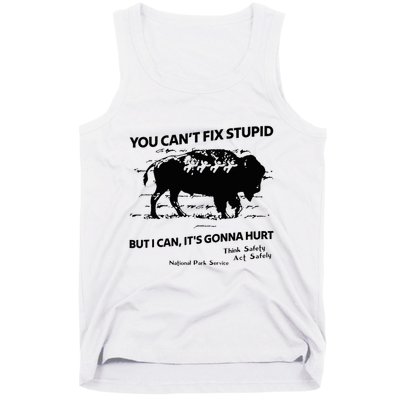 You Can’T Fix Stupid But I Can ItS Gonna Hurt Funny Quote Tank Top