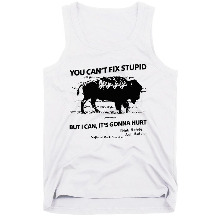 You Can’T Fix Stupid But I Can ItS Gonna Hurt Funny Quote Tank Top