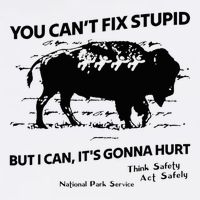 You Can’T Fix Stupid But I Can ItS Gonna Hurt Funny Quote Tank Top