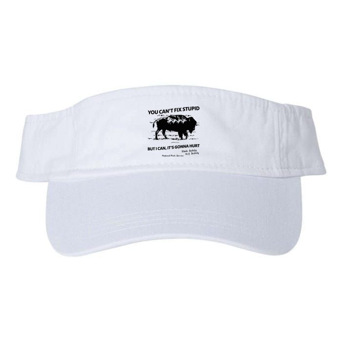 You Can’T Fix Stupid But I Can ItS Gonna Hurt Funny Quote Visor