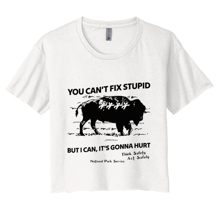 You Can’T Fix Stupid But I Can ItS Gonna Hurt Funny Quote Crop Top