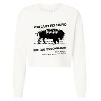 You Can’T Fix Stupid But I Can ItS Gonna Hurt Funny Quote Cropped Pullover Crew