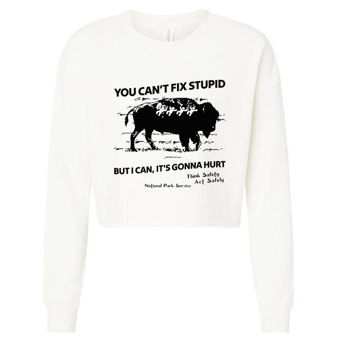 You Can’T Fix Stupid But I Can ItS Gonna Hurt Funny Quote Cropped Pullover Crew