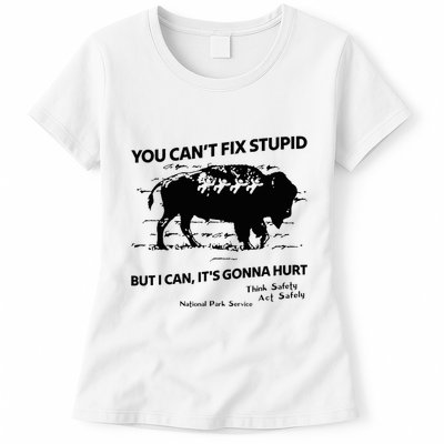 You Can’T Fix Stupid But I Can ItS Gonna Hurt Funny Quote Womens T-Shirt