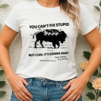 You Can’T Fix Stupid But I Can ItS Gonna Hurt Funny Quote Womens T-Shirt