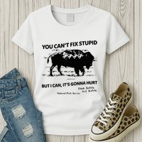 You Can’T Fix Stupid But I Can ItS Gonna Hurt Funny Quote Womens T-Shirt