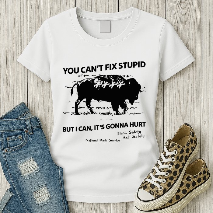 You Can’T Fix Stupid But I Can ItS Gonna Hurt Funny Quote Womens T-Shirt