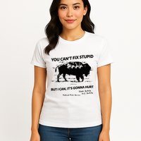You Can’T Fix Stupid But I Can ItS Gonna Hurt Funny Quote Womens T-Shirt