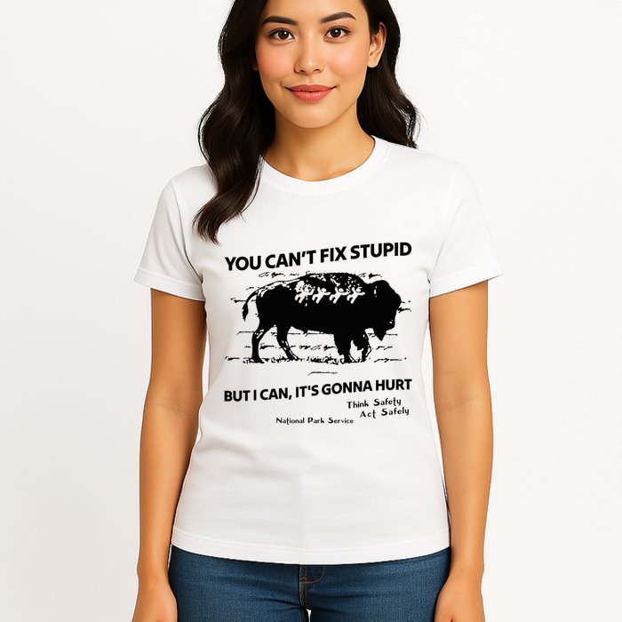 You Can’T Fix Stupid But I Can ItS Gonna Hurt Funny Quote Womens T-Shirt