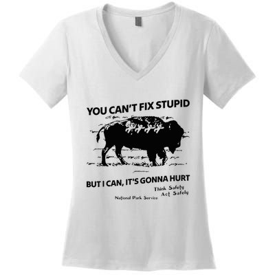 You Can’T Fix Stupid But I Can ItS Gonna Hurt Funny Quote Women's V-Neck T-Shirt