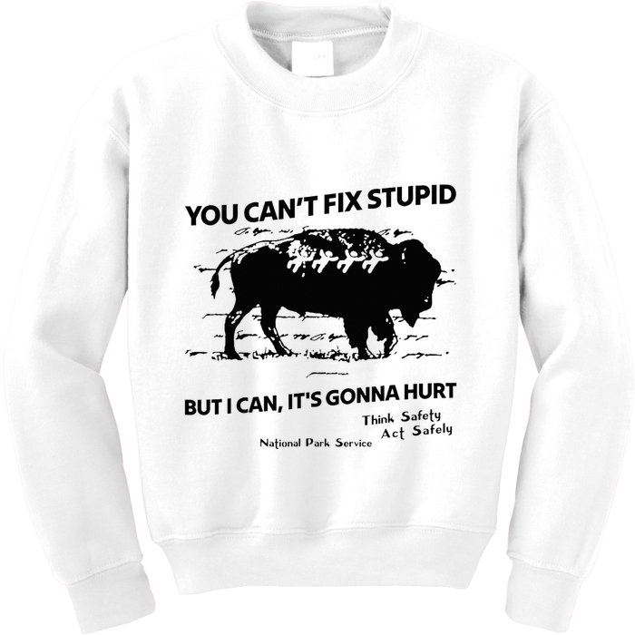 You Can’T Fix Stupid But I Can ItS Gonna Hurt Funny Quote Kids Sweatshirt