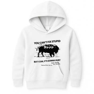 You Can’T Fix Stupid But I Can ItS Gonna Hurt Funny Quote Kids Hoodie