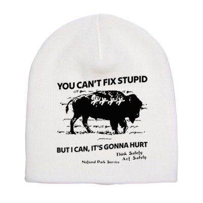You Can’T Fix Stupid But I Can ItS Gonna Hurt Funny Quote Short Acrylic Beanie