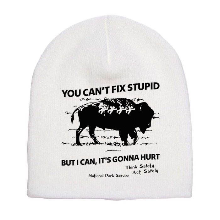 You Can’T Fix Stupid But I Can ItS Gonna Hurt Funny Quote Short Acrylic Beanie