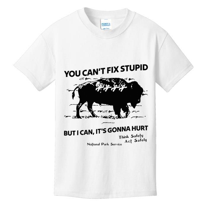You Can’T Fix Stupid But I Can ItS Gonna Hurt Funny Quote Kids T-Shirt