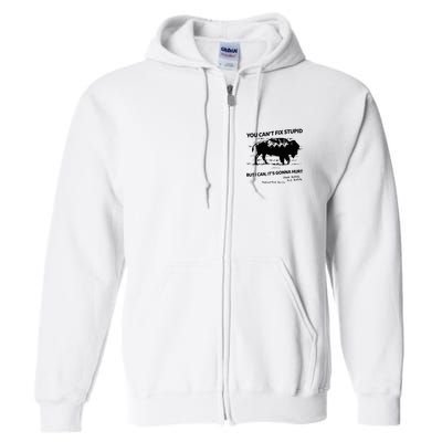 You Can’T Fix Stupid But I Can ItS Gonna Hurt Funny Quote Full Zip Hoodie