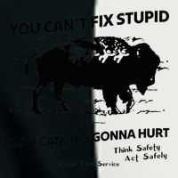 You Can’T Fix Stupid But I Can ItS Gonna Hurt Funny Quote Infant Baby Jersey Bodysuit