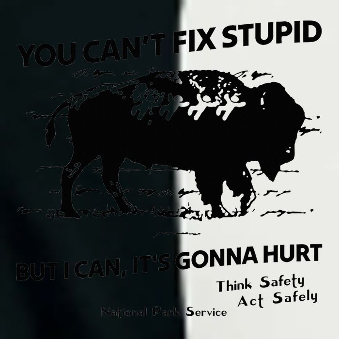 You Can’T Fix Stupid But I Can ItS Gonna Hurt Funny Quote Infant Baby Jersey Bodysuit