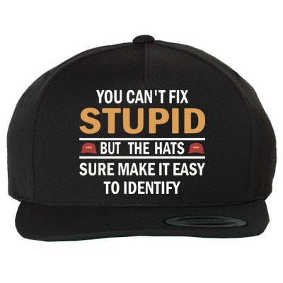 You Can’T Fix Stupid But The Hats Sure Make It Easy To Identify Wool Snapback Cap