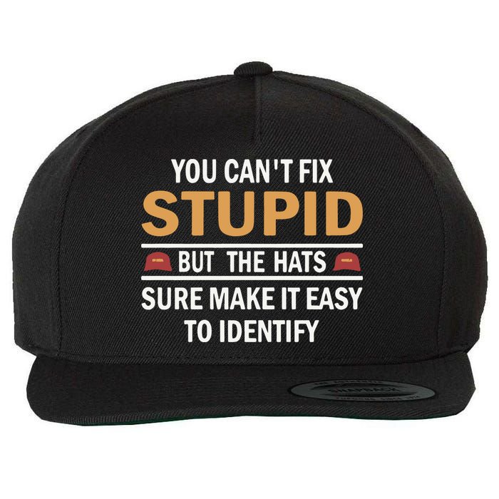 You Can’T Fix Stupid But The Hats Sure Make It Easy To Identify Wool Snapback Cap