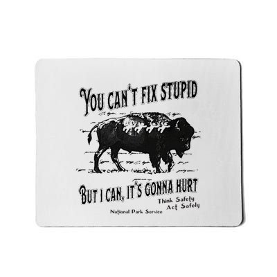 You Can’T Fix Stupid But I Can ItS Gonna Hurt Mousepad