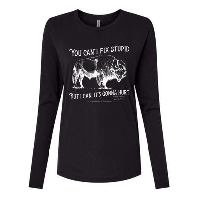 You CanT Fix Stupid But I Can ItS Gonna Hurt Think Safety Womens Cotton Relaxed Long Sleeve T-Shirt