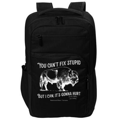 You CanT Fix Stupid But I Can ItS Gonna Hurt Think Safety Impact Tech Backpack