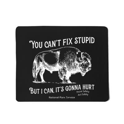 You CanT Fix Stupid But I Can ItS Gonna Hurt Think Safety Mousepad