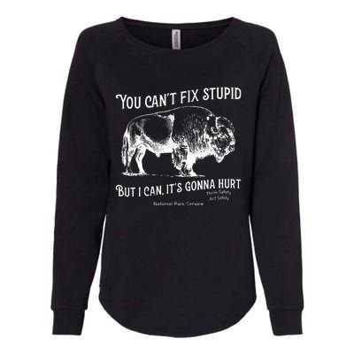 You CanT Fix Stupid But I Can ItS Gonna Hurt Think Safety Womens California Wash Sweatshirt