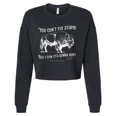 You CanT Fix Stupid But I Can ItS Gonna Hurt Think Safety Cropped Pullover Crew