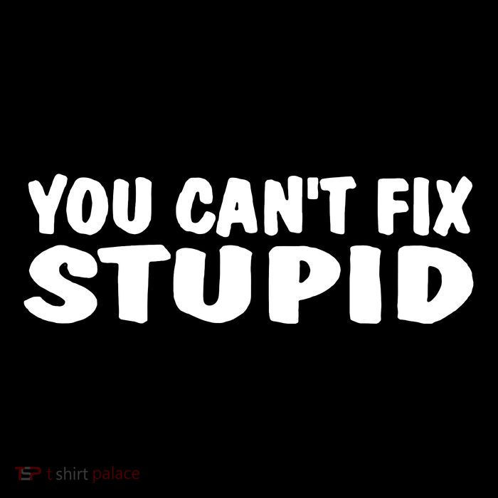 You CanT Fix Stupid Tall T-Shirt