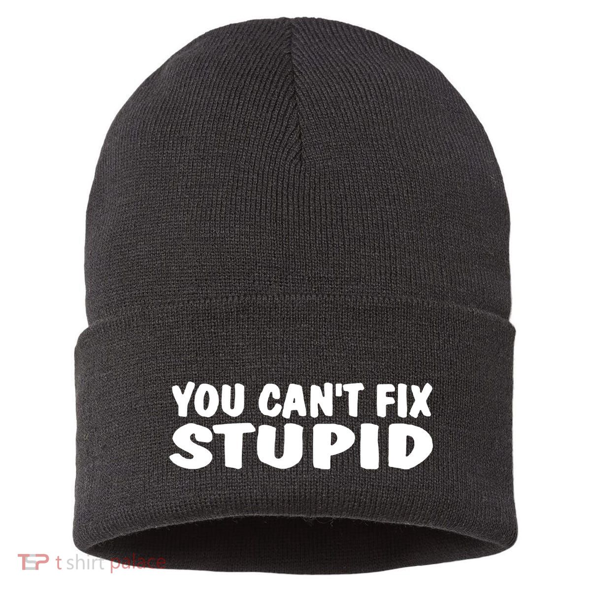 You CanT Fix Stupid Sustainable Knit Beanie