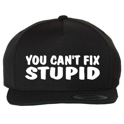 You CanT Fix Stupid Wool Snapback Cap