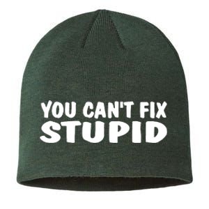 You CanT Fix Stupid Sustainable Beanie