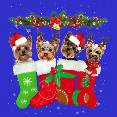 Yorkie Christmas Gift Stocking Dog Lover Xmas Gift T-Shirt