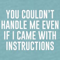 You Couldn't Handle Me Even If I Came With Instructions Sueded Cloud Jersey T-Shirt