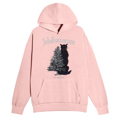 Yule Cat Jolakotturinn Icelandic Christmas Cat Urban Pullover Hoodie