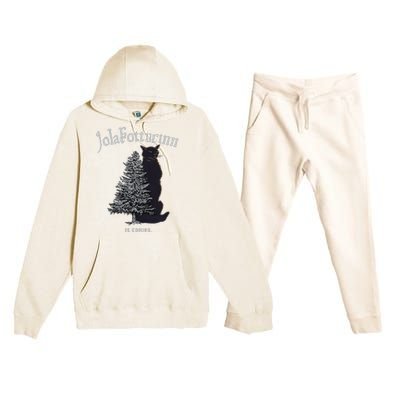 Yule Cat Jolakotturinn Icelandic Christmas Cat Premium Hooded Sweatsuit Set