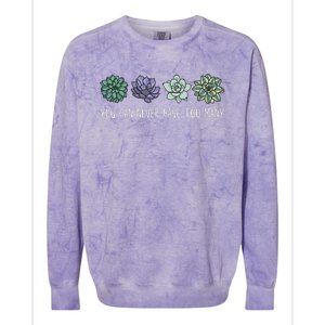 You Can Never Have Too Many Succulents Colorblast Crewneck Sweatshirt