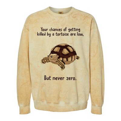 Your Chances Of Getting Killed By A Tortoise Are Low Colorblast Crewneck Sweatshirt