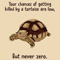 Your Chances Of Getting Killed By A Tortoise Are Low Drawstring Bag