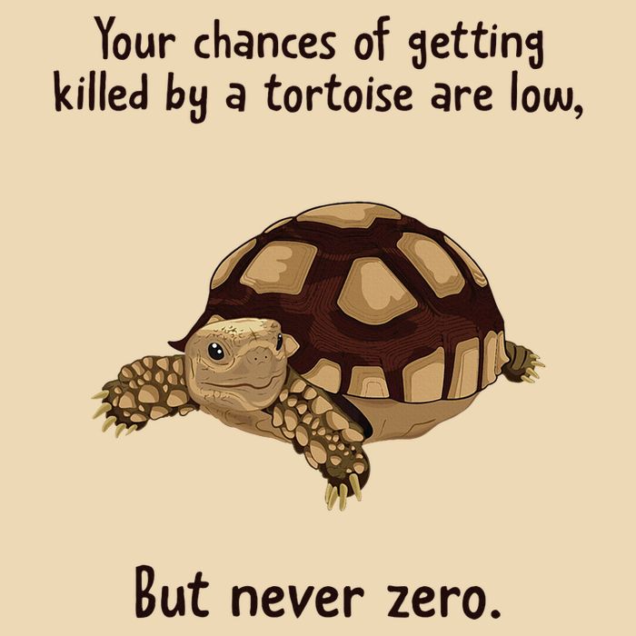 Your Chances Of Getting Killed By A Tortoise Are Low Drawstring Bag