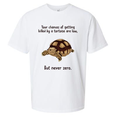 Your Chances Of Getting Killed By A Tortoise Are Low Sueded Cloud Jersey T-Shirt