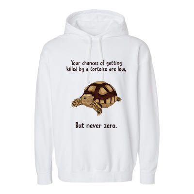 Your Chances Of Getting Killed By A Tortoise Are Low Garment-Dyed Fleece Hoodie