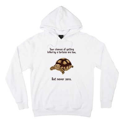 Your Chances Of Getting Killed By A Tortoise Are Low Hoodie