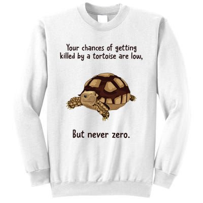 Your Chances Of Getting Killed By A Tortoise Are Low Sweatshirt