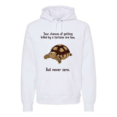 Your Chances Of Getting Killed By A Tortoise Are Low Premium Hoodie